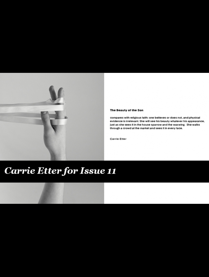 Carrie Etter_banner Optionxx