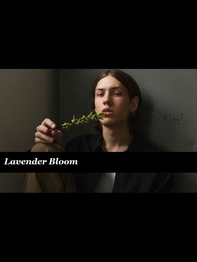 Sebastian_-newsbanner