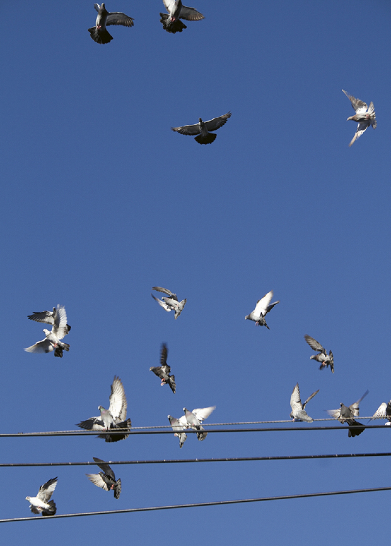 No Limitations_For Issue9_3