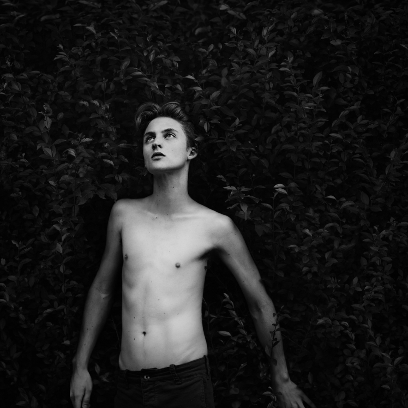 Wyatt_8
