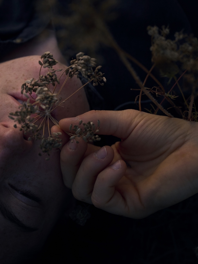 Wild Tales BBG Web Sized10