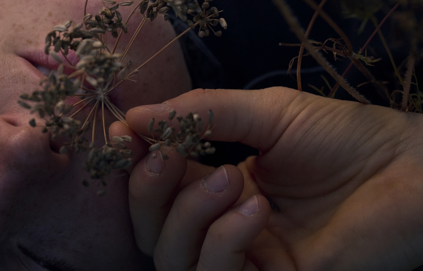 Wild Tales BBG Web Sized10
