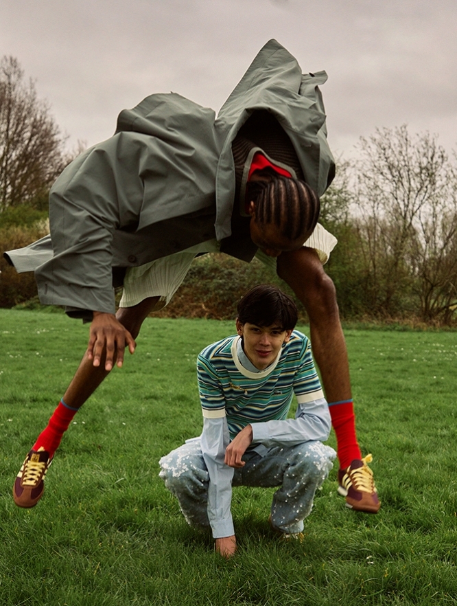 Apples Fall Small Thumbnail