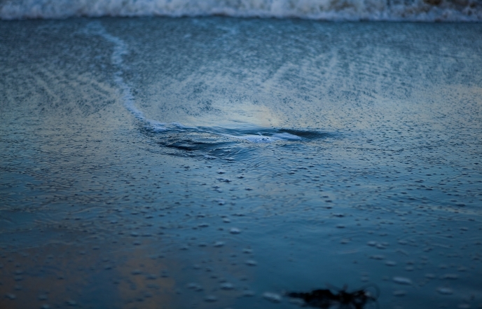 Web-Large_Cecilie Editorsletter