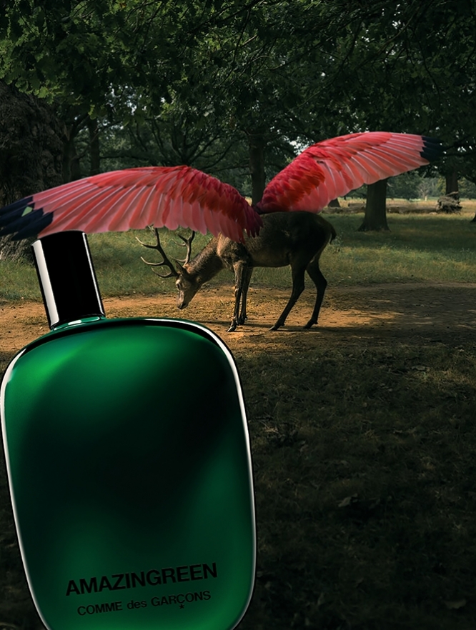 Scent Senses_Small Thumbnail