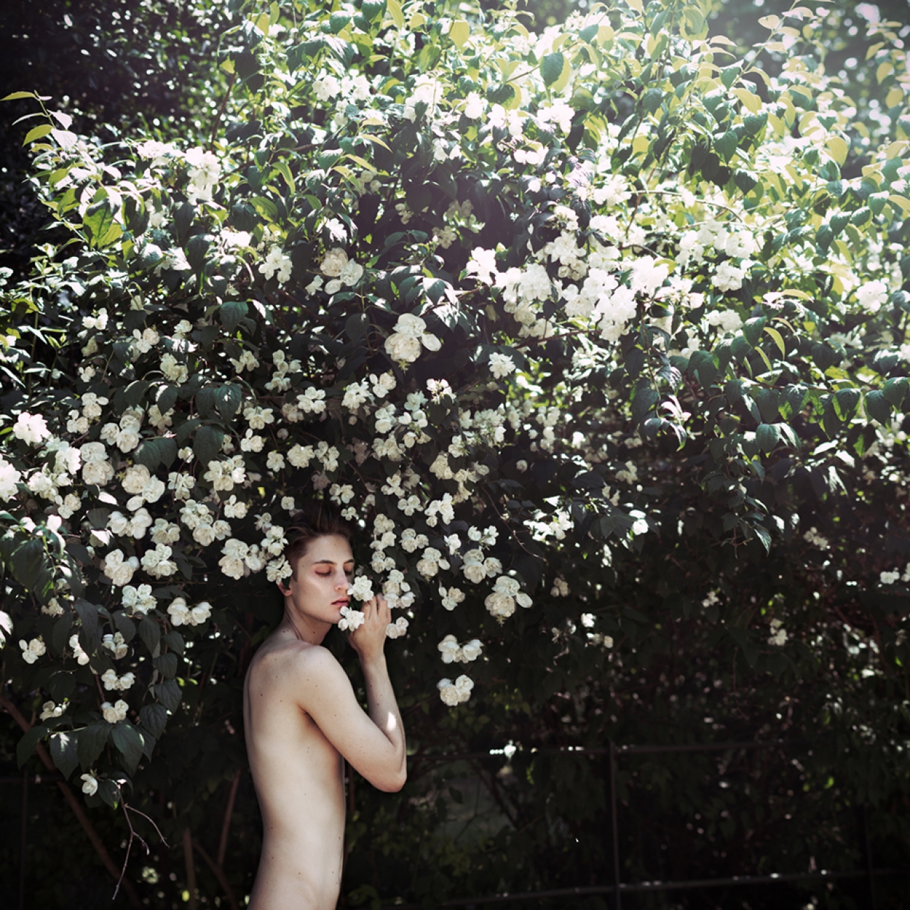 Wyatt_2